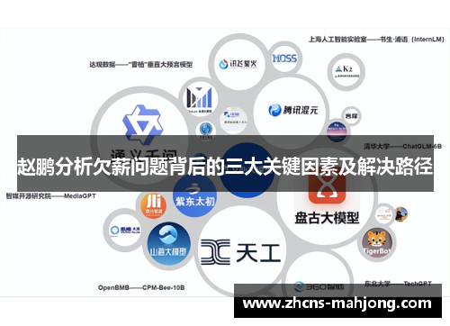 赵鹏分析欠薪问题背后的三大关键因素及解决路径